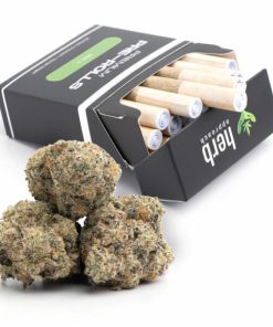 Mac 1 | Pre-Rolled 20