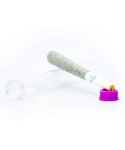 Indica Pre-Rolled Joint