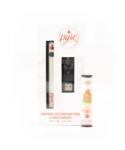 1g Ceramic Vaporizer Kit