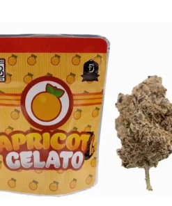 Apricot Gelato Strain